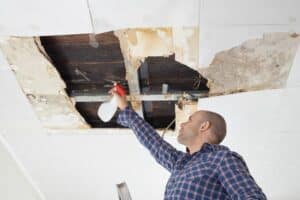 Mold-Proofing Your Home: Essential Steps for Long-Term Prevention