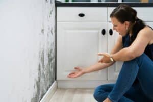 Mold vs. Mildew: What's the Difference and How to Deal with Each