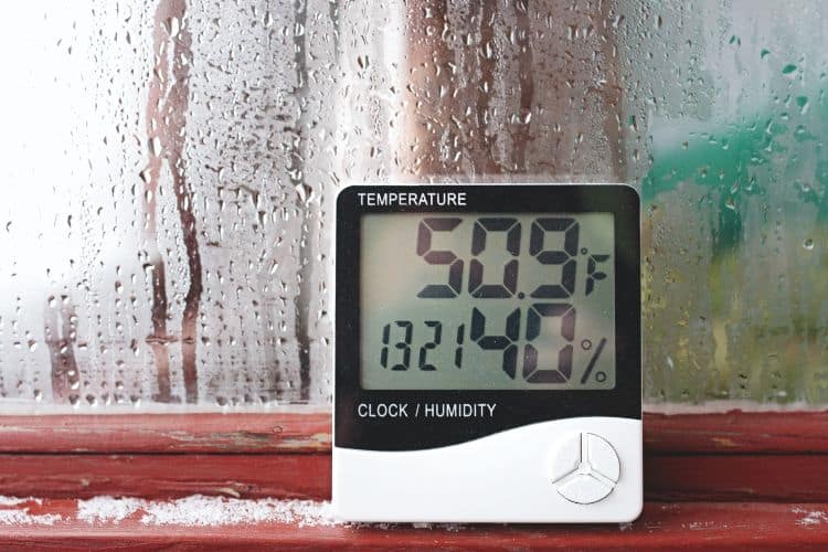 8. The Role of Humidity in Mold Formation: Managing Moisture Levels