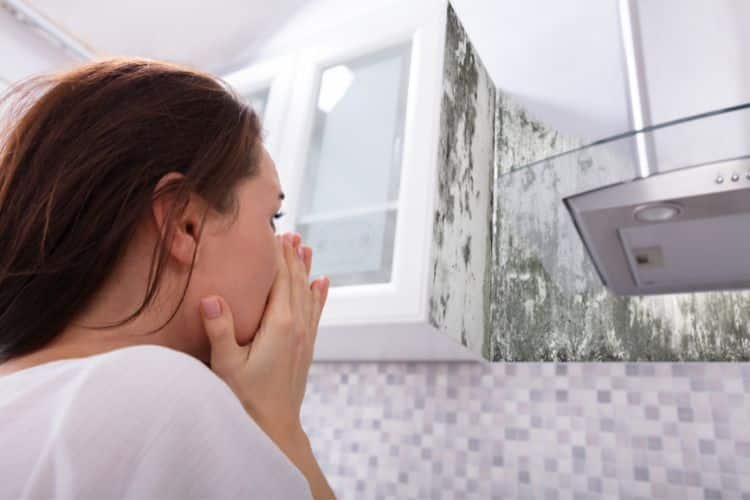 How Climate Change Impacts Mold Growth in Homes