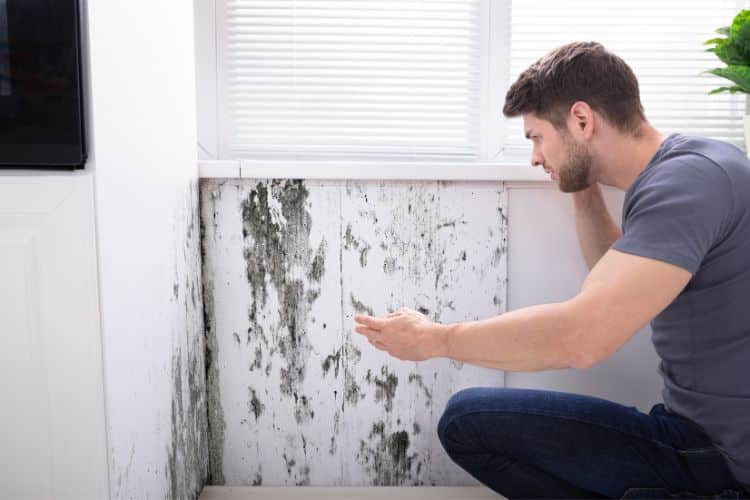 How Climate Change Impacts Mold Growth in Homes