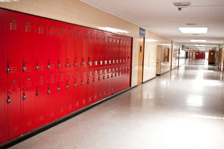 Mold in Schools Addressing a Hidden Health Hazard for Students