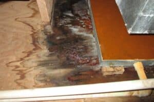 The Long-Term Effects of Untreated Water Damage