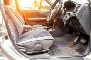 Mold in Vehicles: Prevention and Remediation Tips