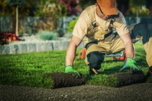 The Role of Landscaping in Preventing Outdoor Mold Growth
