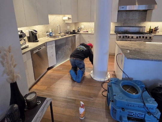 Crown Mold Specialists-Full restoration service by NYC’s licensed technicians