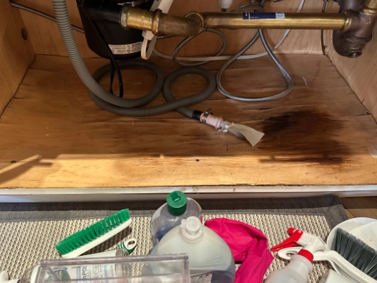 Crown Mold Specialists Inspection and Moisture Detection